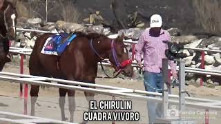 El Yardero Cuadra Las Animas vs El Chirulin Cuadra Vivoro Carril San Julián Jalisco