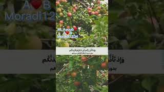 ترجمه قرآنکریم به زبان فارسی