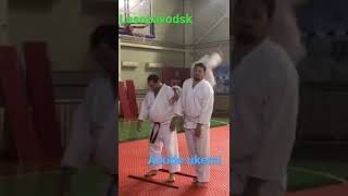 Wonderful aikido ukemi