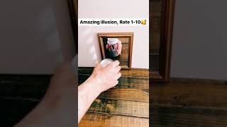 Rate the illusion 💯|| Isn't it mind-blowing 🤯🤯 #shorts #youtube #illusion