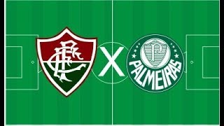 Fluminense 0 x 1 Palmeiras (Melhores Momentos)