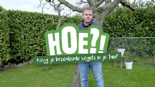 Hoe krijg je broedende vogels in je tuin? | HOE?! | Welkoop