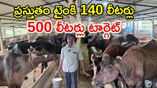 500 లీటర్లు టార్గెట్ vinuthna dairy farm @MalleshAdla