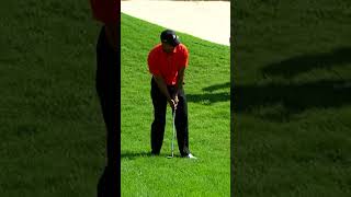 Tiger Woods' Incredible Leaf Shot: A Perfect Recovery at the PGA TOUR #golfhighlights #pgatour #golf