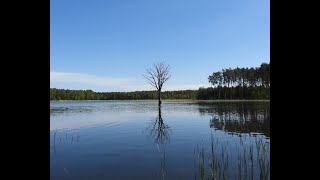 Nikon coolpix P1000 zoom film i zdjęcia