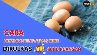 CARA SIMPAN MENYIMPAN TELUR AYAM & BEBEK YANG BENAR, DI KULKAS ATAU SUHU RUANGAN - CUCI AIR GAK?