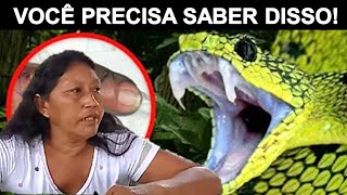 INDÍGENA REVELA A PLANTA QUE PODE SALVAR DO VENENO DE COBRA NA AMAZÔNIA!!