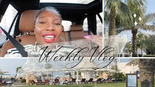 JOY VLOGS: THE BEAUTY OF LIVING IN THE PRESENT