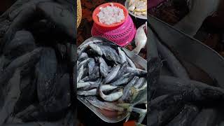 नविन पनवेल फिश मार्केट #shorts #viral #youtubeshorts #fishlover #panvel #fishmarket