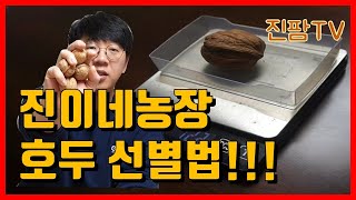 빈 호두 골라내는 방법(고객 클레임 줄이는 방법)