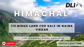 112 BIGHA LAND FOR SALE | NAINTIKAR | #realestate #kasauli #himachal #property #investing #land