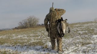 GOOSE HUNTING… IN THREE HOURS I GOT DAILY LIMIT …🇨🇦