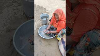 Simple life. #villagelife #rajasthan