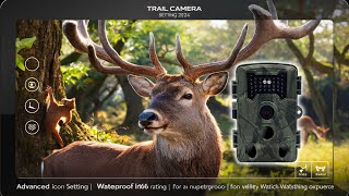 Trail Camera Setting 2024 ตั้งค่ากล้องล่าสัตว์