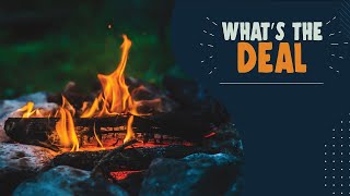 Camping and the importance of not moving firewood. | What’s the Deal?