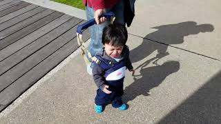 Learning to Walk: Grandpa's Guidance with Toddler Harness!