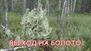 Выход на болото  06 09 2016