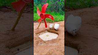 survival - Unique New Bird Trap Amazing #shorts #Trap