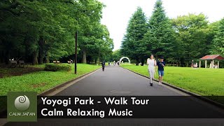 Yoyogi Park Walk Tour