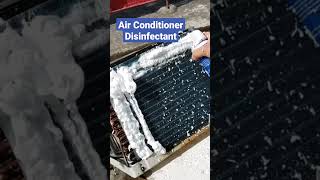 Air Conditioner Cleaning and Disinfectant (Bitop)