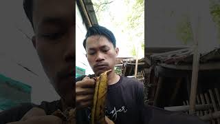 #shorts Makan pisang tanduk #trending #tiktok