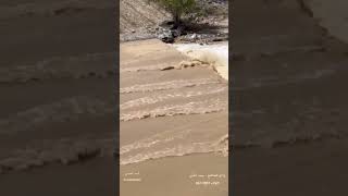 امطار اليوم سلطنة عمان #shorts  भारी वर्षा Oman heavy rain 倾盆大雨