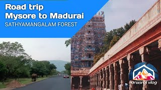 Mysore to madurai and Thiruvananthapuram road trip @realistictravelogue