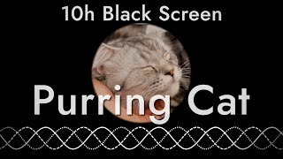 Cat Purr for Sleeping (10 hours of sleep sounds with black screen)