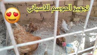 علاج القمل 🪳 للدجاج تجهيز الموسم للاسبانيات 🥚😍تحفيز الكوكتيل للتزاوج 🥚