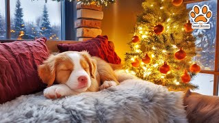 Расслабляющая рождественская музыка для собак 🐾🎄 12 часов успокаивающих мелодий для спокойного отд