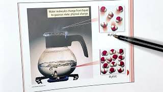 Chapter 1 - Matter, Measurement, and Problem Solving