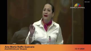 Ana María Raffo | Intervención Pleno nro. 979 | 12 de noviembre de 2024.