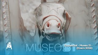 Comercial - Museo 31 - (Enero 2024)