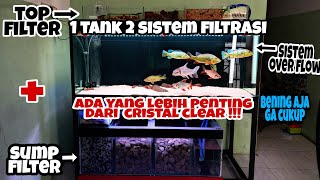 REVIEW‼️1 TANK 2 SISTEM FILTRASI COMBINASI TOP FILTER DAN SUMP FILTER SEKALIGUS❗DIDALAM KONTRAKAN ‼️