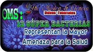 OMS: 12 Súper Bacterias Representan la Mayor Amenaza para la Salud