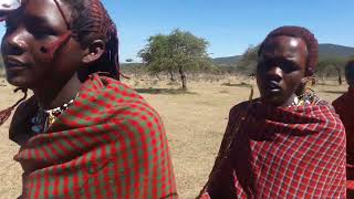 Dance of young Maasai warriors during the initiation period. Tanzania.