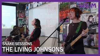 THE LIVING JOHNSONS I SNAKE SESSIONS LIVE@WSUM