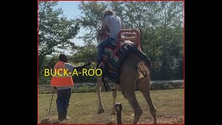 ARK Encounter and the Creation Museum