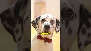 Why Dalmatians Are Associated With Fire Stations?