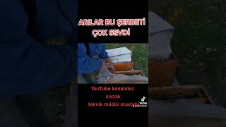 Ballı şerbet. #beekeeping #imkerei #bee #aries #arıcılık