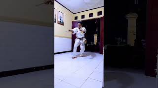 style kata nunchaku #shortvideo