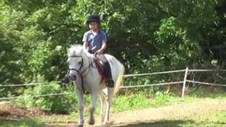 2 NEW HORSES. Meet Jack and Charlie.