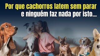 Latidos de cachorro e esta cultura pet no Brasil