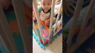 Baby is trying to pick at the play mat (Petey is 8 months and 27 days old)