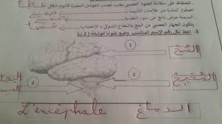 تصحيح الفرض الثاني النشاط العلمي الدورة الأولى / المستوى السادس