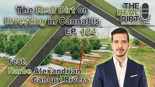 The Real DIRT on INVESTING in Cannabis