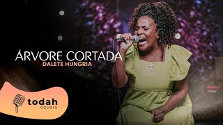 Daiane Moura | Árvore Cortada [Cover Valesca Mayssa]