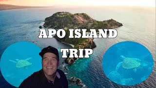 Apo Island