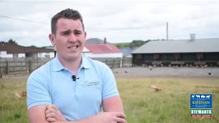 Connollys Organic Poultry Farm