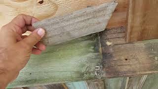 next is the siding on the west side of the greenhouse. Siding with old fence panels.